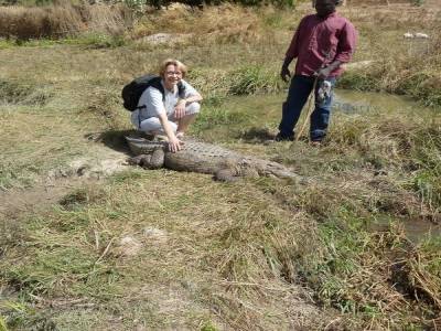 Croco sympa