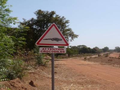 Révision du code de la route
