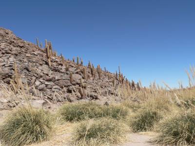 San Pedro, la vallée de la Luna et les geysers Del Tatio