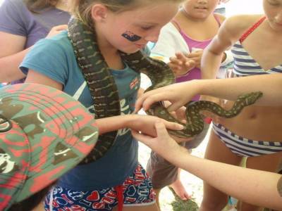 serpent