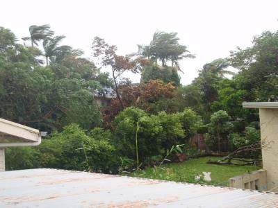 Cyclone