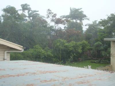 Tempête tropicale