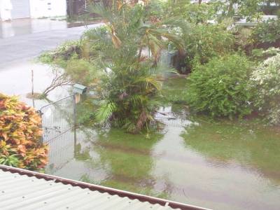 Tempête tropicale