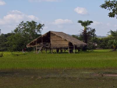 Habitat traditionnel