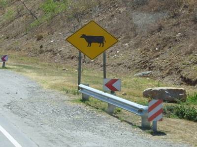 Les différents panneaux de signalisation en Argentine.