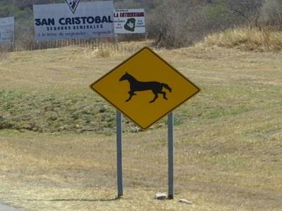 Les différents panneaux de signalisation en Argentine.