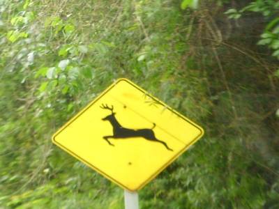 Les différents panneaux de signalisation en Argentine.
