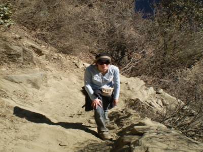 Tiger leaping gorges