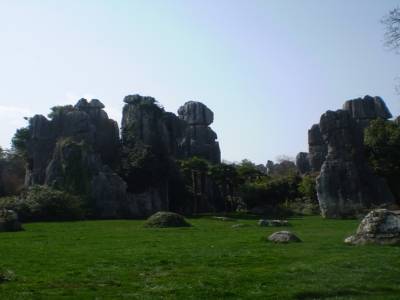 Stone forest