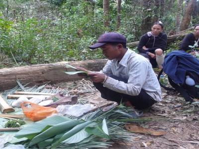 Repas dans la jungle