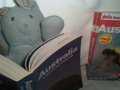 Lapin s'active!