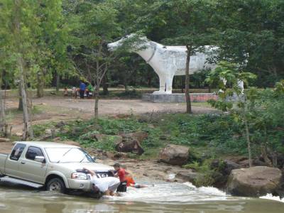 Du temple chinois au crocodile etrange en passant par un des nombreux vendeur ambulant : la Thailande nous reserve bien des surprises !
