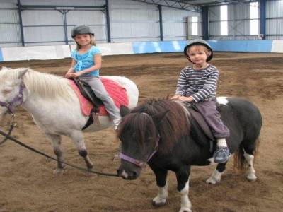 Cheval 1