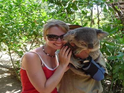 Animals connection