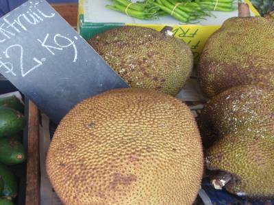 Fruit