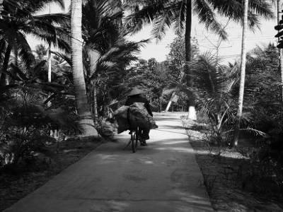 Le Vietnam dans les annees 50