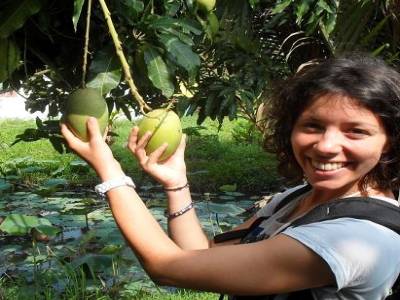 no comment (cf photo du jackfruit)
