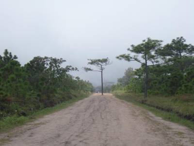 Phu Kradueng