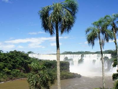 Les chutes d'Iguazu