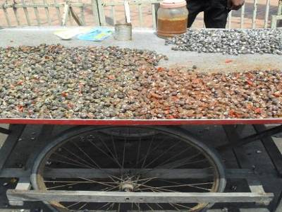 l'apero des cambodgiens : des coquillages.