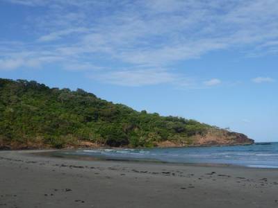 De la rainforest  à l'outback
