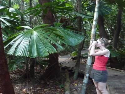 De la rainforest  à l'outback
