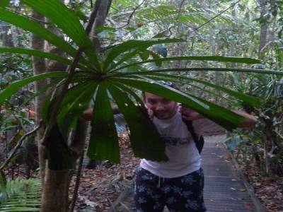De la rainforest  à l'outback