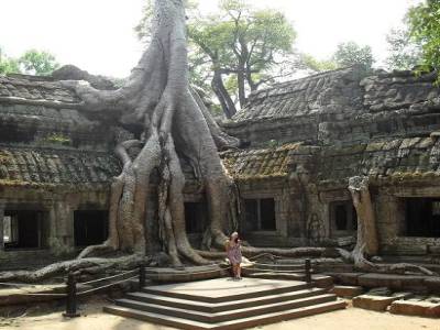 le Ta Prohm ou la puissance de la jungle