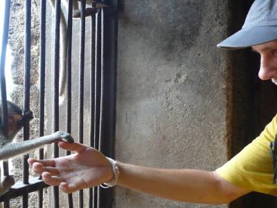 Ami ?
