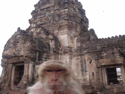 Gardien de temple