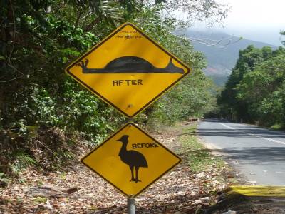 De la rainforest  à l'outback