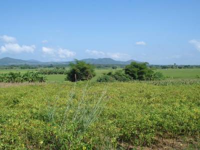 Route secondaire pour aller a Loei