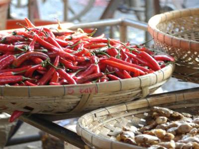 Chau doc