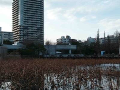 TOUR A UENO