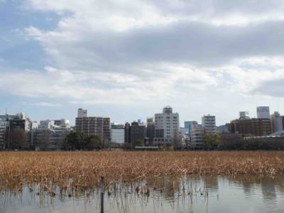 PARC UENO