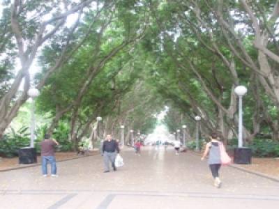 Hyde Park au "milieu" de Sydney