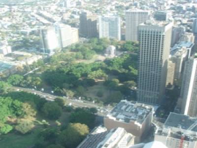 Sydney Tower By Day