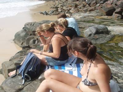 Compétition de Surf
