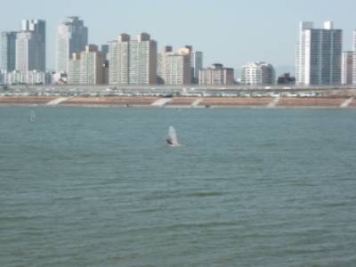 Han River