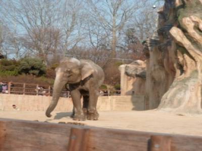 zoo - children grand park