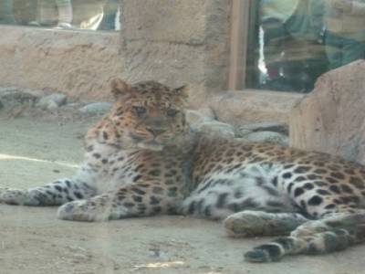 zoo - children grand park