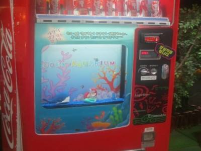 Coex Mall Aquarium