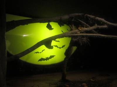 Coex Mall Aquarium