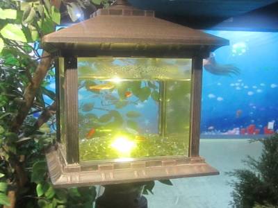Coex Mall Aquarium