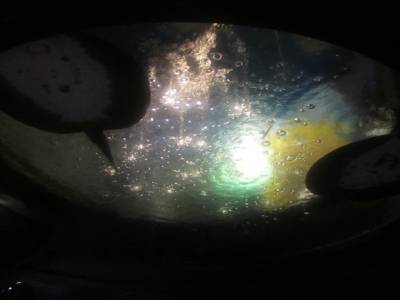 Coex Mall Aquarium