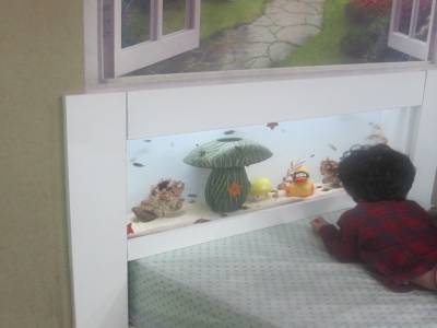 Coex Mall Aquarium
