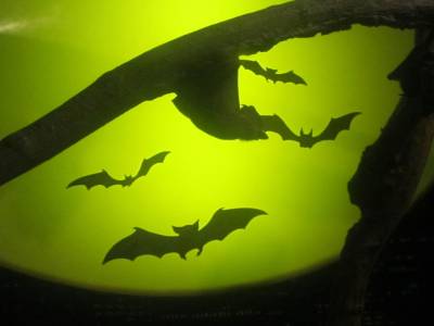 Coex Mall Aquarium