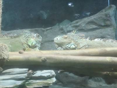 Coex Mall Aquarium