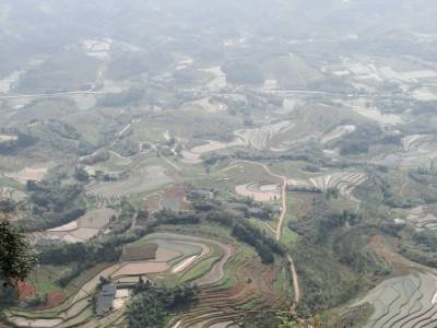 Les rizières de la campagne de Dajin