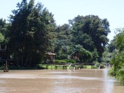 Tigre